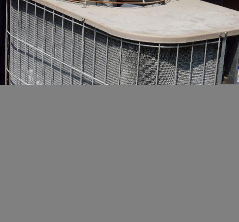 rotted out condenser by dogs urine